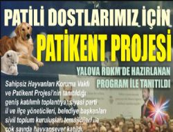 Yalova PATKENT Projesi anlatld